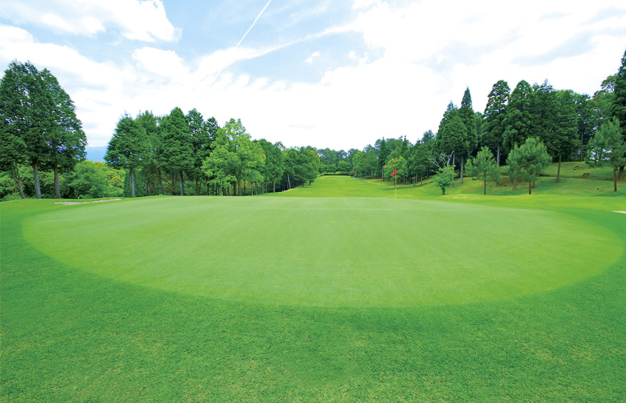 セメント資材が積まれている様子