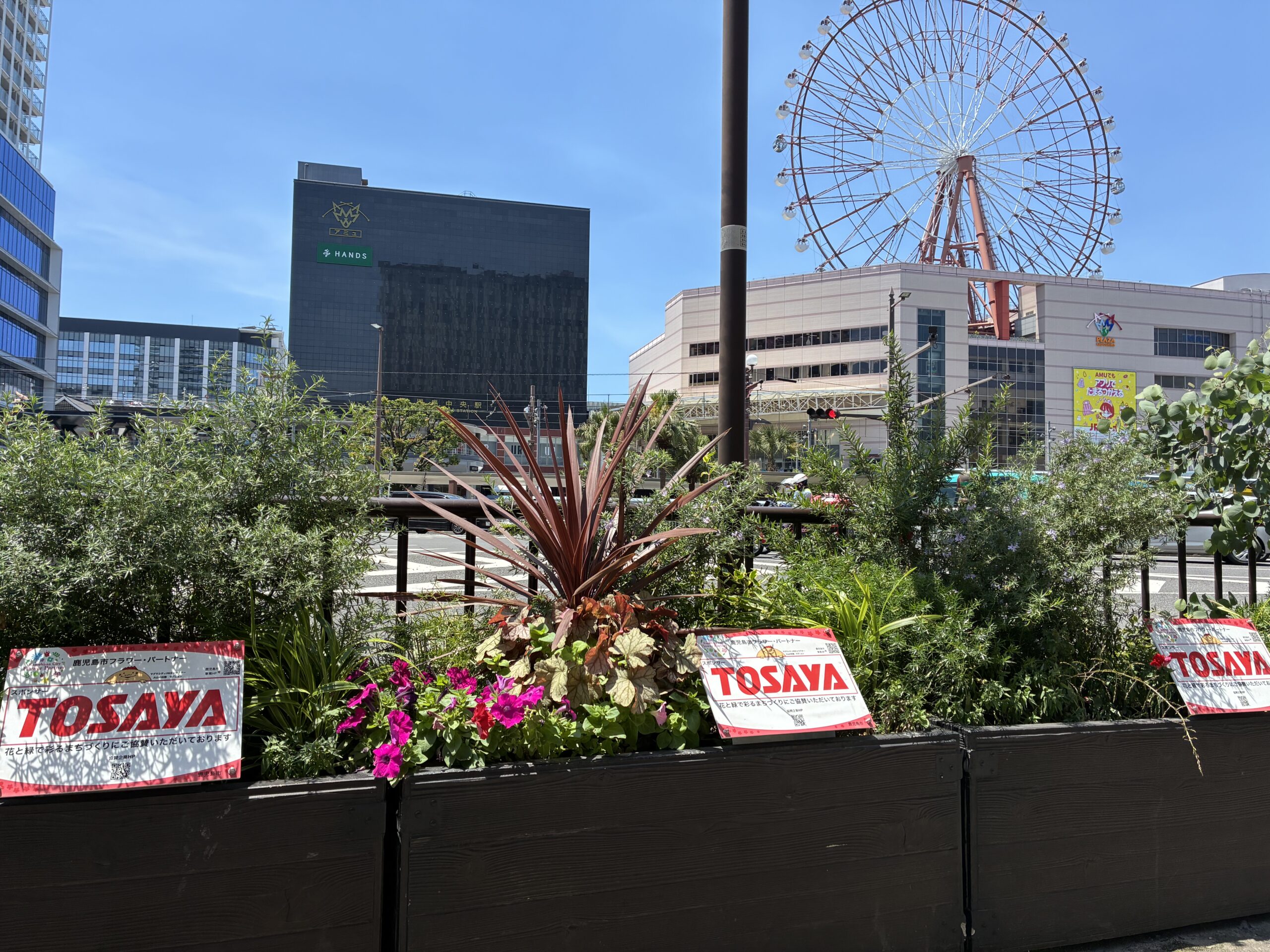2026年度 鹿児島市フラワーパートナー事業への参画について